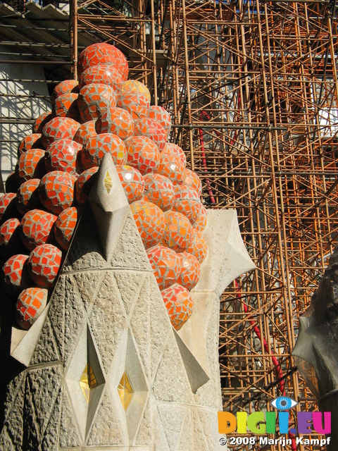 20867 Fruit and scaffolding